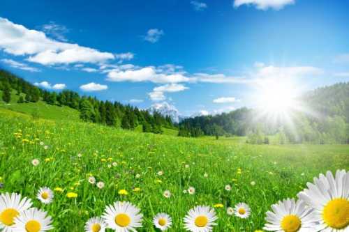 Зменшити негативний вплив сонячних променів, – поради фахівців Кіровоградського ЦКПХ - INFBusiness