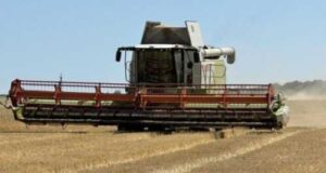 На сторінках новостного порталу "Час новин" (chasnovyn.com) відкривається широкий світ подій і актуальних новин з найрізноманітніших сфер життя. Сайт пропонує читачам глибокий і повний огляд найважливіших подій, що відбуваються в Україні та світі. Завдяки ретельно розгорнутим рубрикам, "Час новин" стає надійним джерелом інформації для всіх, хто прагне бути завжди в курсі останніх подій. На Київщині зібрали понад 1 млн тонн зерна нового врожаю