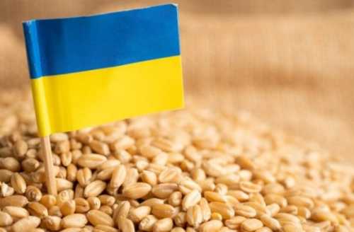 Блокада українського експорту призводить до зростання світових цін на продовольство - INFBusiness
