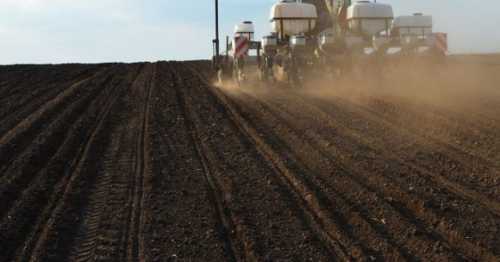 Запаси продуктивної вологи під озимими культурами недостатні, – Укргідрометеоцентр - INFBusiness