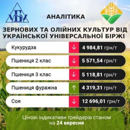 Цінові індикативи зернових та олійних за 18-24 вересня - INFBusiness
