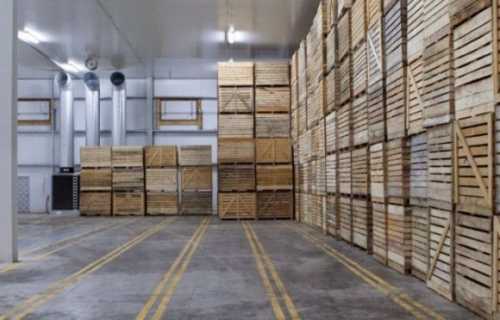 У 2023 році в Україні побудували 15 овочесховищ - INFBusiness