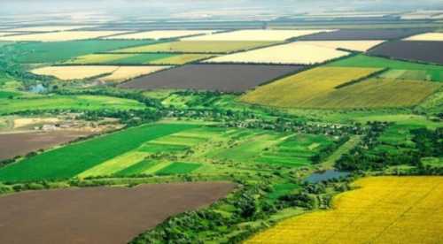 На земельних аукціонах переважають сільськогосподарські землі, – Сергій Бут - INFBusiness