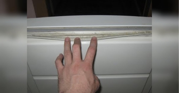 Як замінити гуму на дверцях холодильника: легко впорається кожна господиня - INFBusiness