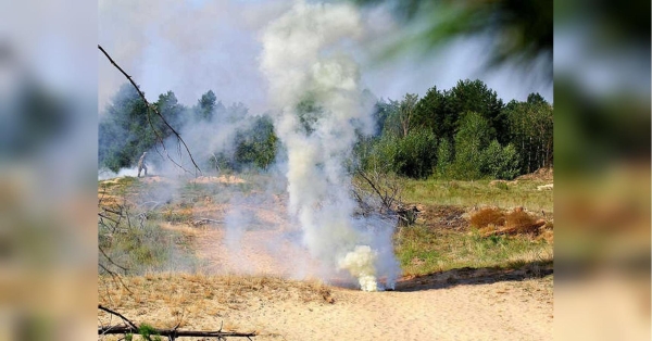 Двоє дітей підірвалися на міні на Миколаївщині, одна дитина загинула - INFBusiness