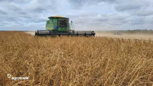 У Групі АГРОТРЕЙД врожайність традиційної сої сягнула майже 150% - INFBusiness