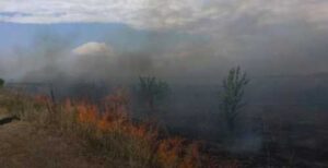 Відновлення природних систем України може зайняти від 60 до 100 років