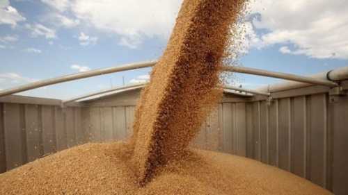 Україна нарощує темпи експорту агропродукції - INFBusiness