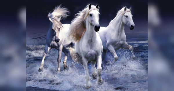 Ракам — приємні зміни, Левам — грошові надходження, Скорпіонам — приємні подарунки: гороскоп на день Коня-Бризколюба - INFBusiness