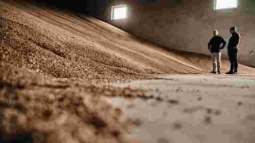 Україна виграла від заборони країн ЄС на експорт зерна, – єврокомісар - INFBusiness