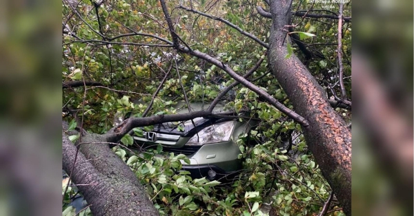 В Києві попередили про можливі відключення світла: як дізнатися про ситуацію у своєму районі - INFBusiness