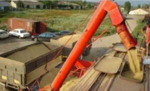 Боротьба з нелегальним експортом паралізує роботу портів