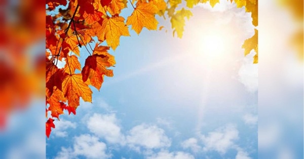 Майже літо: синоптикиня розповіла про погоду останніх днів жовтня - INFBusiness