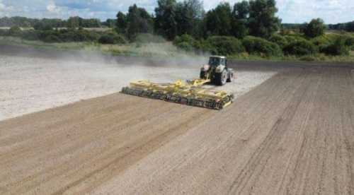 На Волині озимими культурами засіяли 97% від прогнозованих площ - INFBusiness