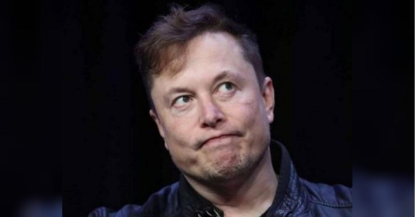 Маск зло потролив Зеленського старим мемом: мережа не оцінила «жарт» - INFBusiness