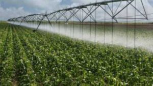 Дотації організаціям водокористувачів: документи потрібно подати до 20 листопада
