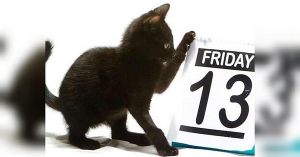 П’ятниця, 13-те: яка справжня причина поширеного забобону - INFBusiness