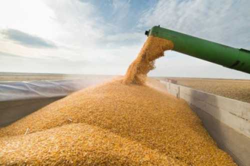Величезні запаси зерна та логістика є найбільшими ризиками для українських аграріїв, – Сергій Феофілов - INFBusiness