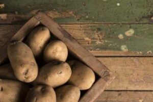 Швейцарські фермери розмірковують: Чи варто взагалі вирощувати картоплю? А Україна третій рік поспіль збирає непоганий врожай