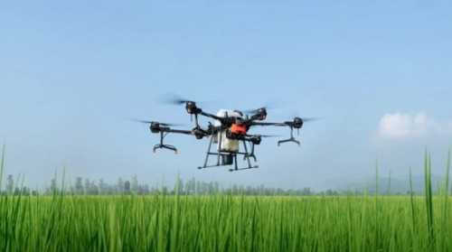 Дрони зі штучним інтелектом прогнозують строки збору врожаю - INFBusiness