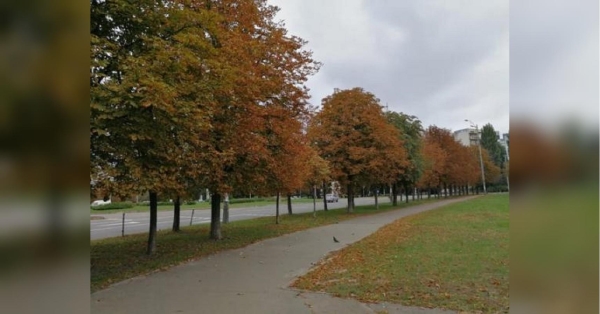 Потепління буде коротким, натомість у суботу — «рахат-лукум»: синотик розповіла, коли в Україні знову похолоднішає - INFBusiness