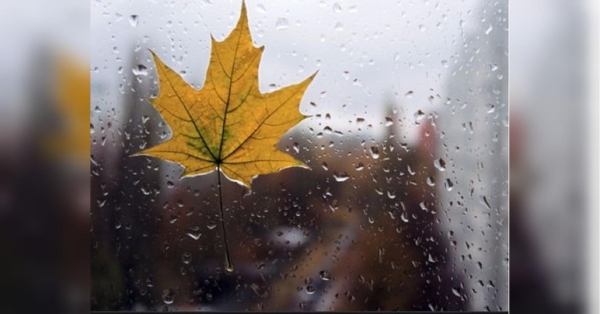 Дощі на носі, заморозки на підході: «майже літня» погода зміниться вже найближчими днями - INFBusiness