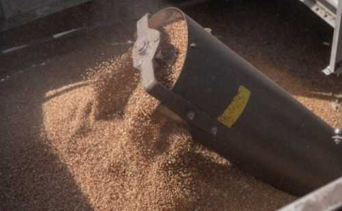 Дотацій на транзит зерна з України до Клайпеди поки не буде - INFBusiness