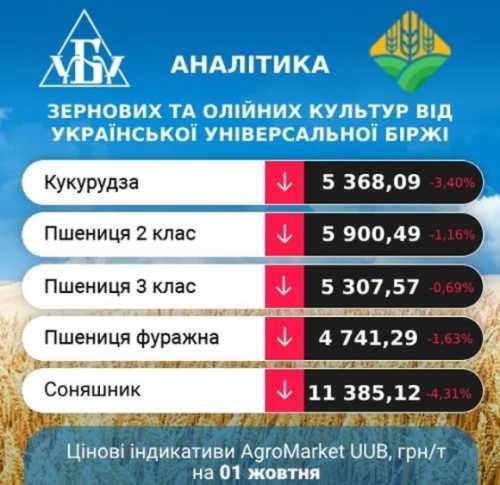 Аналітики очікують ще більшого розриву цін між продовольчим та фуражним зерном - INFBusiness