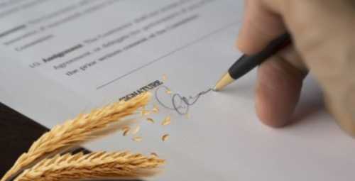 Аграрії з початку року видали 773 аграрні розписки - INFBusiness