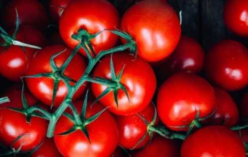 Ціни на тепличні помідори почали стрімко зростати - INFBusiness