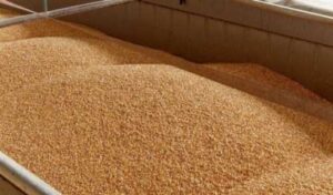 Україна створить коридор через Молдову та Румунію для експорту агропродукції