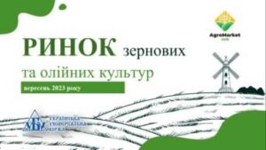Підсумки вересня на ринку зернових та олійних