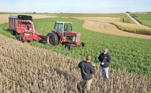 Фермери-початківці можуть взяти участь в програмі обміну досвідом у Європі - INFBusiness