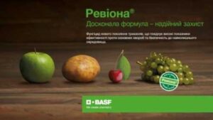 BASF представляє новий інноваційний продукт Ревіона®