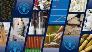 У жовтні відбулось зниження індексу продовольчих цін ФАО