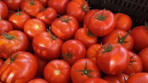 Скорочення виробництва та недостатній імпорт спричинили ріст цін на томати