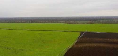 У податковій пояснили, чи оподатковуються доходи від продажу успадкованої землі - INFBusiness