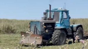 Фермерів просять не проводити розмінування самостійно