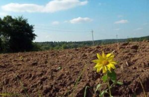 Державна підтримка фермерам невигідна