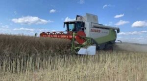 На Київщині зібрали понад 5 млн тонн врожаю
