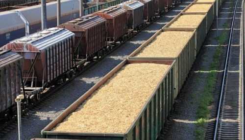У напрямку портів рухається у 2,5 рази більше вагонів із зерном, ніж до західних переходів - INFBusiness