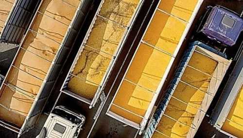 Кабмін розширив критерії включення до переліку верифікованих експортерів агропродукції - INFBusiness