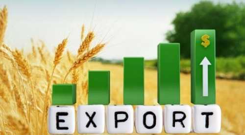 Через війну частка експорту агропродукції до ЄС зросла майже вдвічі - INFBusiness