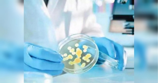 Понад 100 курсантів морського ліцею в Одесі звернулися до лікарні через отруєння, — ЗМІ - INFBusiness