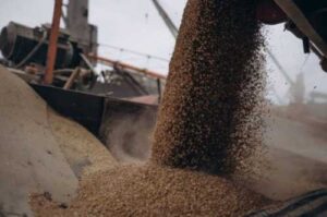 Новими правилами уряд планує побороти зловживання під час експорту агропродукції