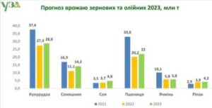 УЗА збільшила прогноз врожаю до 81,6 млн т зернових та олійних