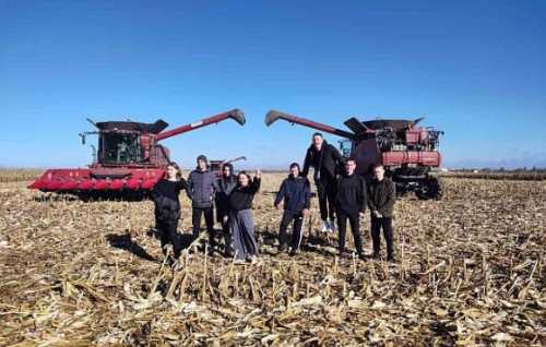 В Cygnet Agrocompany закінчили збирати врожай - INFBusiness