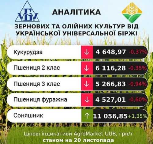 Проміжні підсумки цінових індикативів 14-20 листопада - INFBusiness
