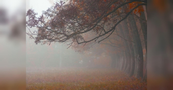 Киян попередили про негоду, в столиці підтоплено шість вулиць - INFBusiness