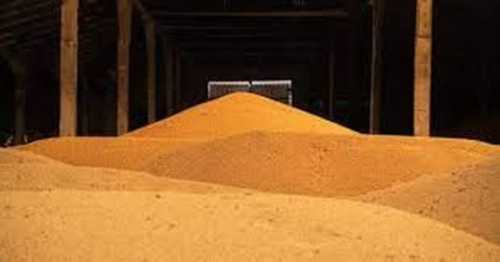 Депутати досі намагаються зрозуміти, чому існує «чорний» експорт зерна - INFBusiness